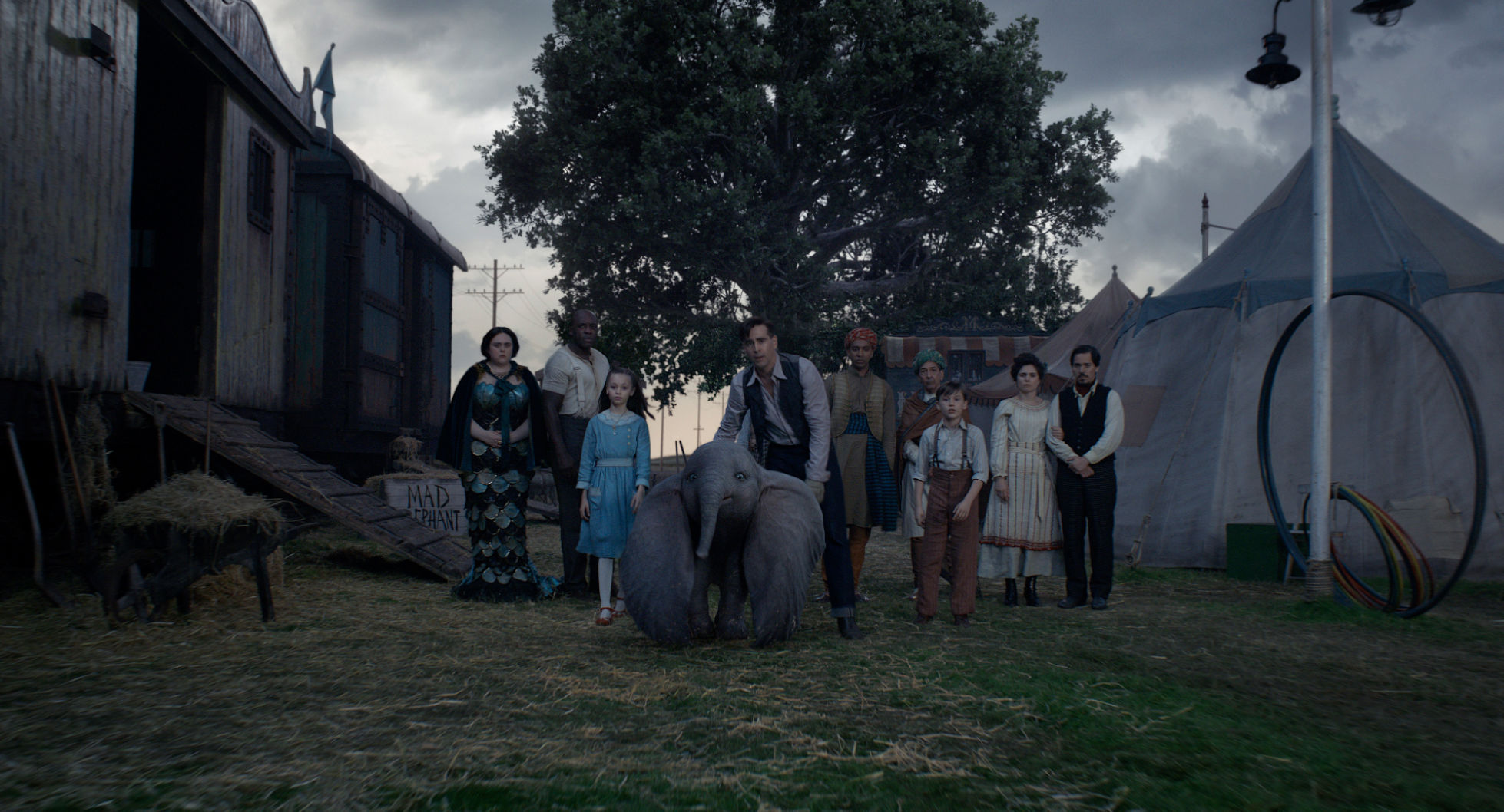 Dumbo 2